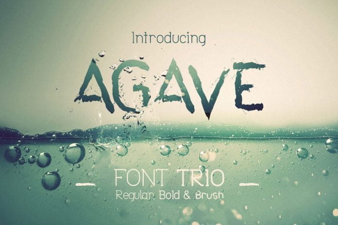 Agave Font Trio Font