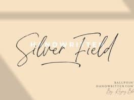 Silver Fields Font