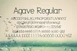 Agave Font Trio Font