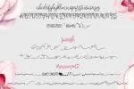 Bralyn Script Font