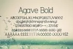 Agave Font Trio Font