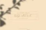 Silver Fields Font