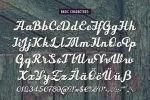 Hickson`s Script + Bonus Font