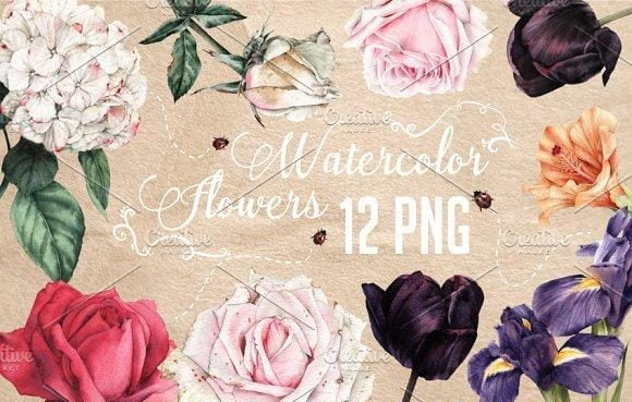 Summer Flowers Set Vector Free Download