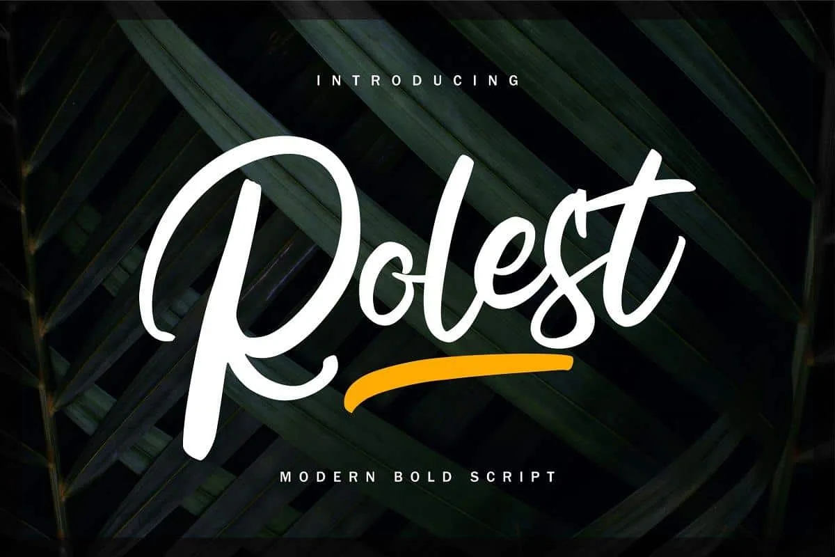 Rolest Modern Bold Script Font