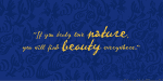 P22 Vincent Font