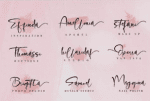 Olliffia Font