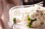 Shelley Font