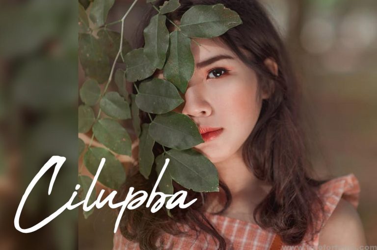 Abuget Brush Font Free Download