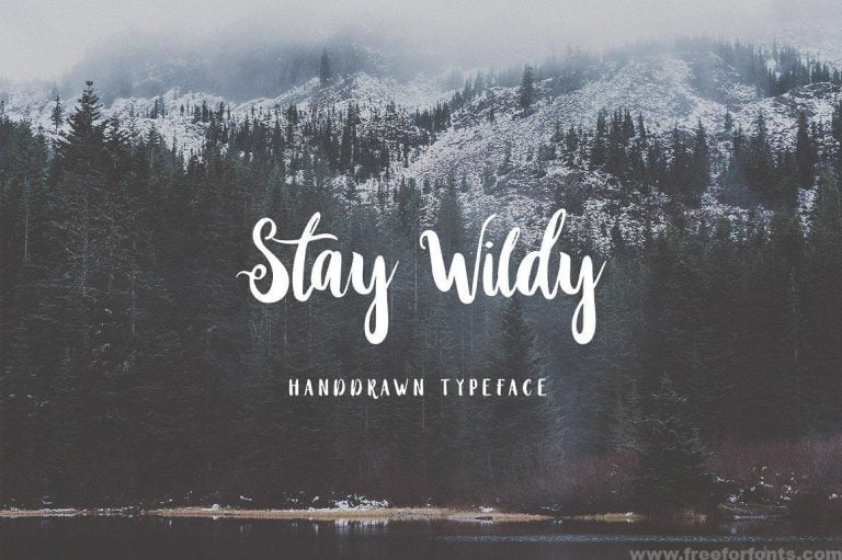Stay Wildy Script Font Free Download