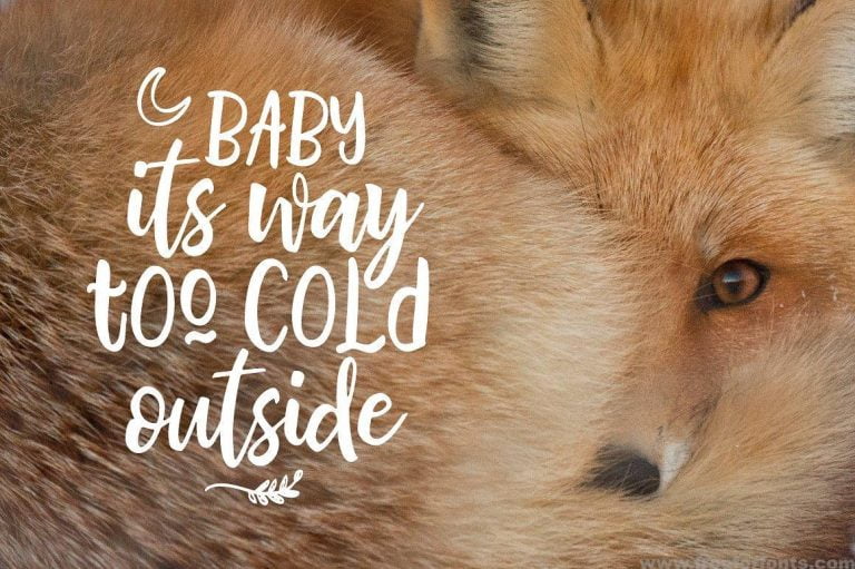 Bhatoshine Script Font Free Download