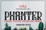 Phanter - 2 Styles Font