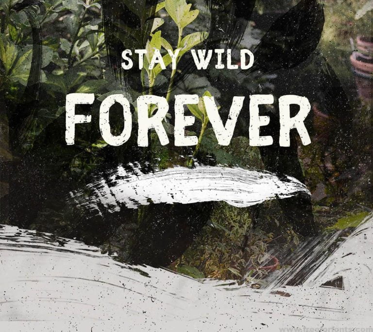 Fibre Font Free Download