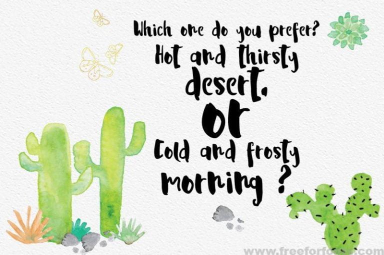 La Viola Font Free Download