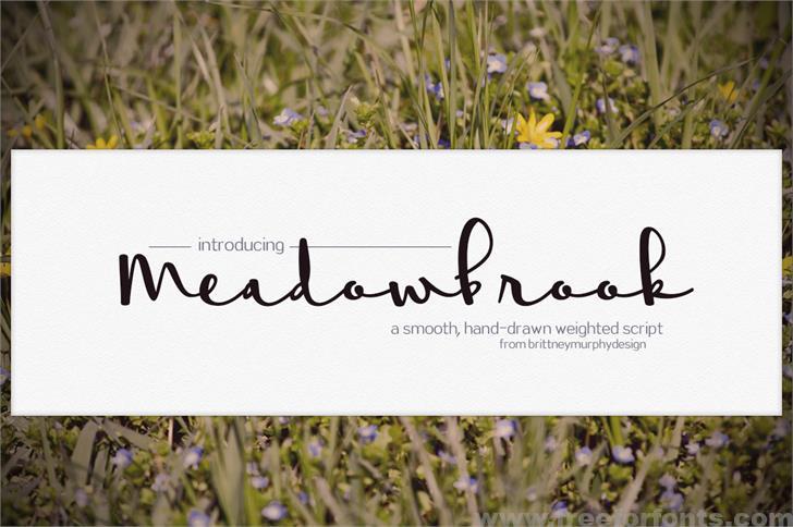 Meadowbrook font
