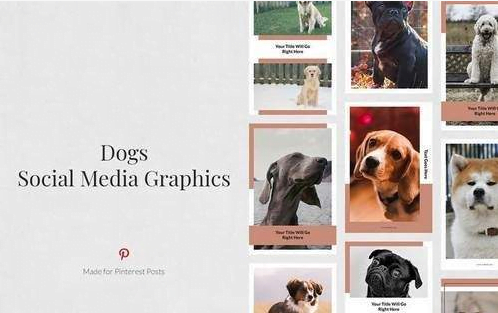 Dogs Pinterest Posts