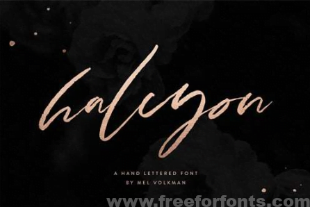 Halcyon Brush Lettered Font