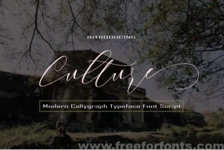 Culture Font