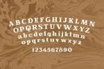 Perfect Stenlies Font