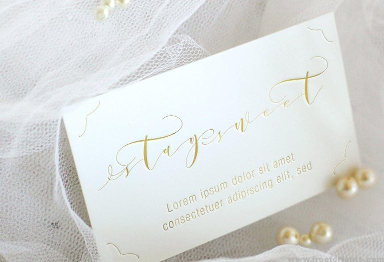 Donita Script Font Free Download