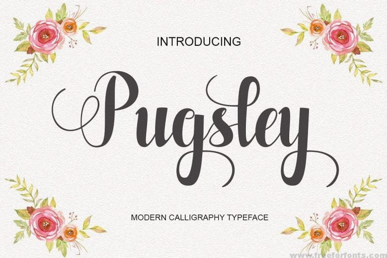 Pugsley Script Font Free Download