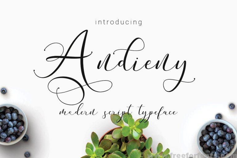 Andieny Script Font Free Download