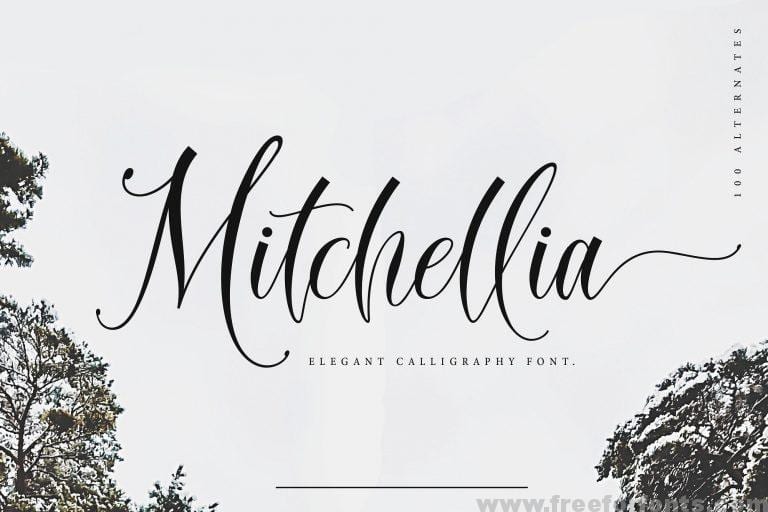 Mitchellia Script Font Free Download Free Font Download