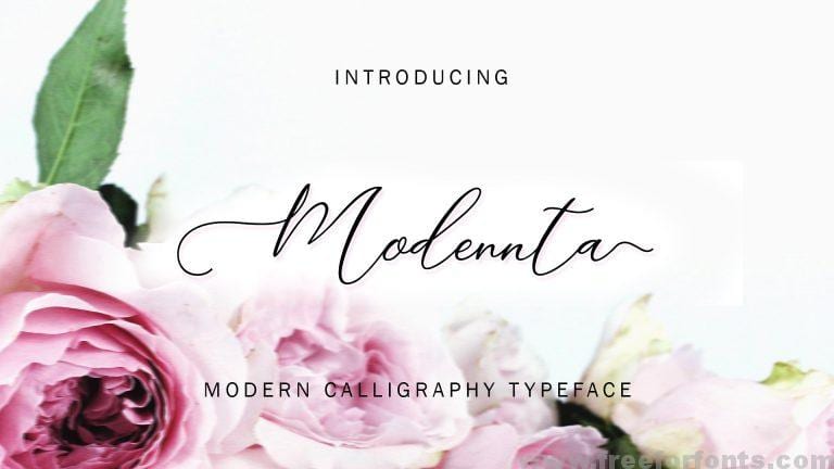 Modennta Script Font Free Download
