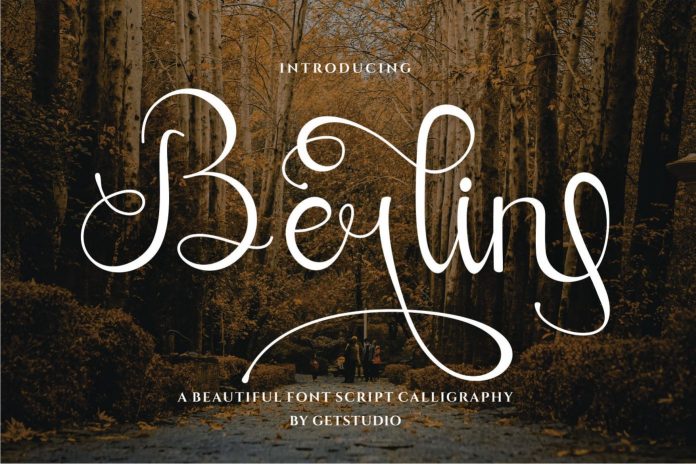 Berlin Calligraphy Font