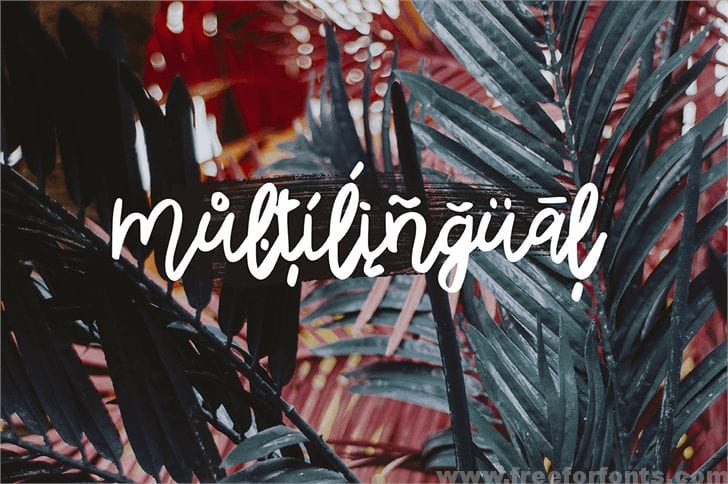 Rhiner Script Font Free Download