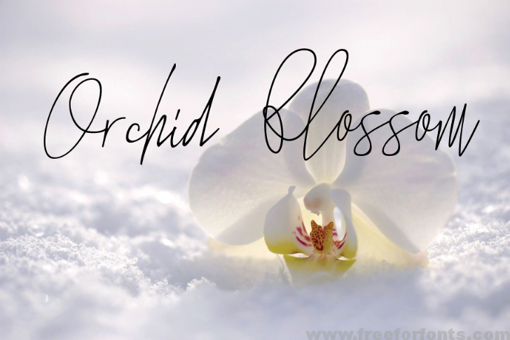 The Standing Still Script Font Free Download