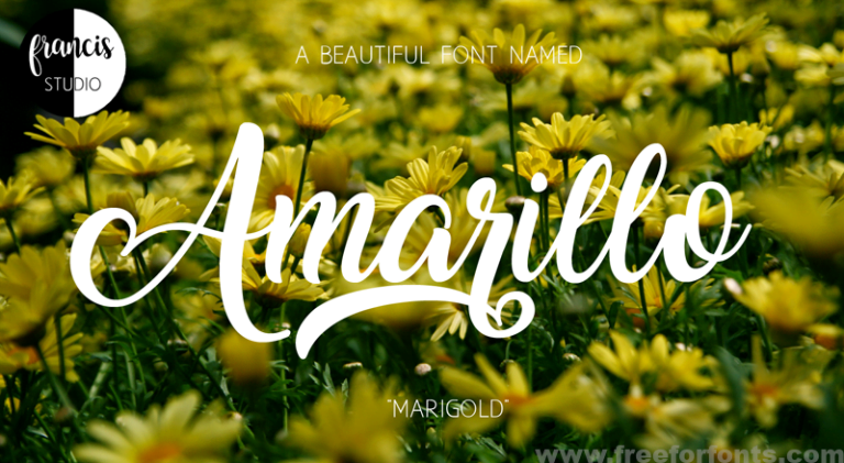 Amarillo Font Free Download