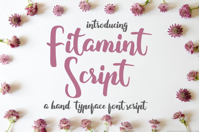 Fitamint Script Font Free Download