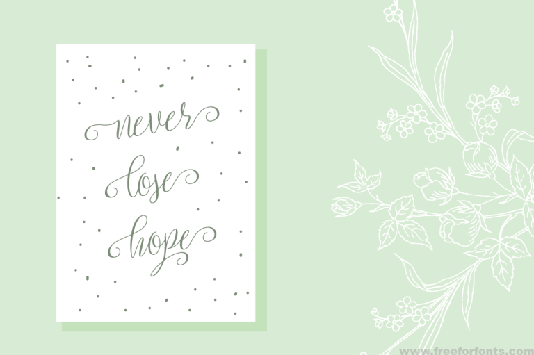 Setta Script Font Free Download