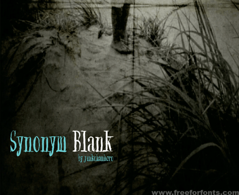 Synonym Blank Font Free Download