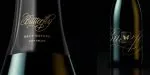 Bellissima Script Pro Font