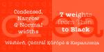 Leto Slab Font