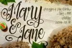 5 Sick Script Font