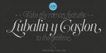 Heroe Font Family - 5 Fonts