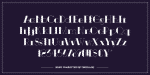 Roxic Family 2 Styles Font