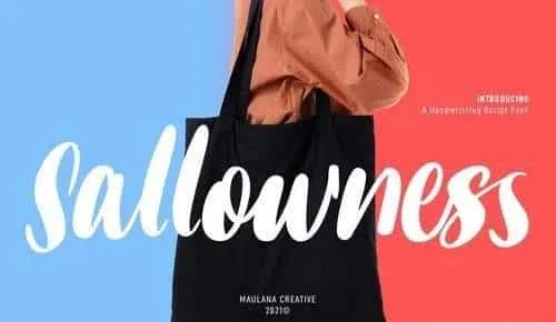 Sallowness Handwritting Script Font