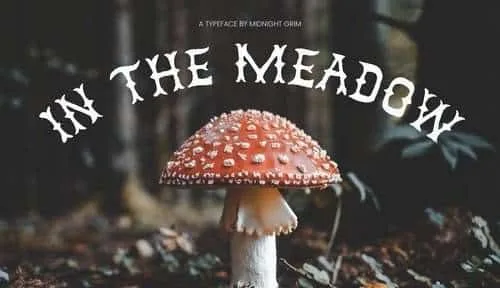 In the Meadow Font
