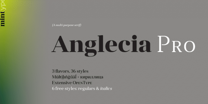 Anglecia Pro Font