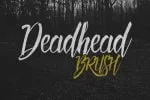 5 Sick Script Font