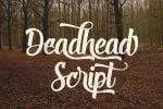 5 Sick Script Font