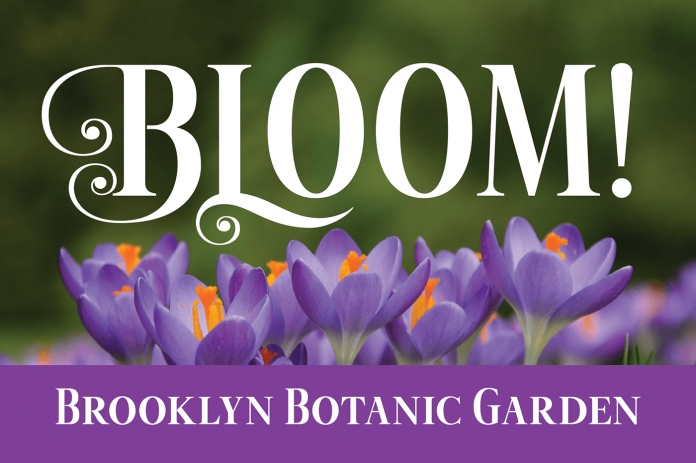 Hibiscus -Titling Font