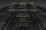 Ravinchy - Signature Font