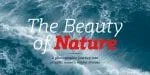 Schnebel Slab Pro Font