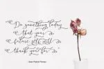 Andira Font
