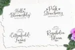 Hello Blushberry Duo Font